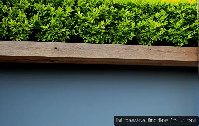 Diseño industrial y packaging: cuándo necesitas cada especialidad y cómo elegir un profesional 4 공업디자인과 패키지 디자인 관련 이미지 2